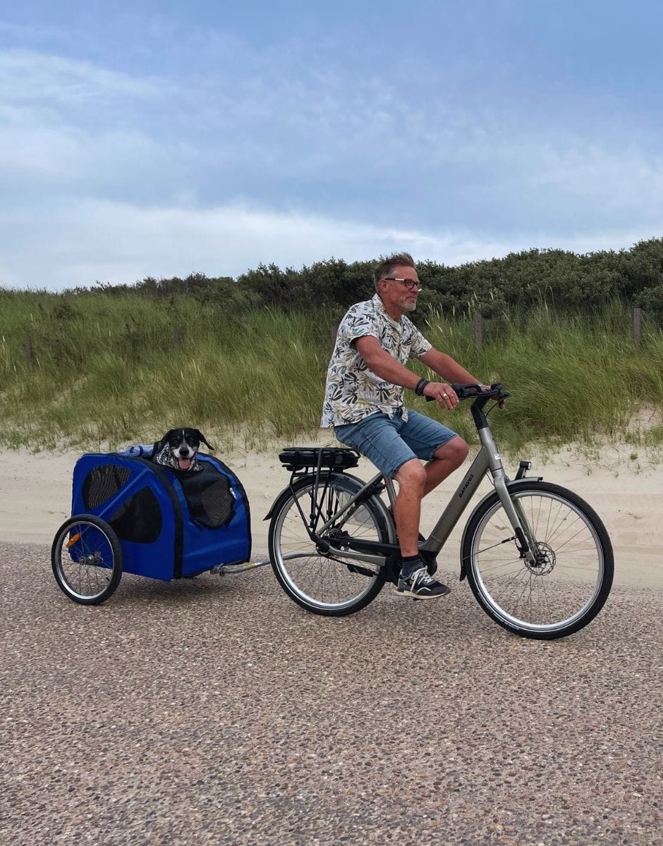 FVDK - Honden 4 (1)-min