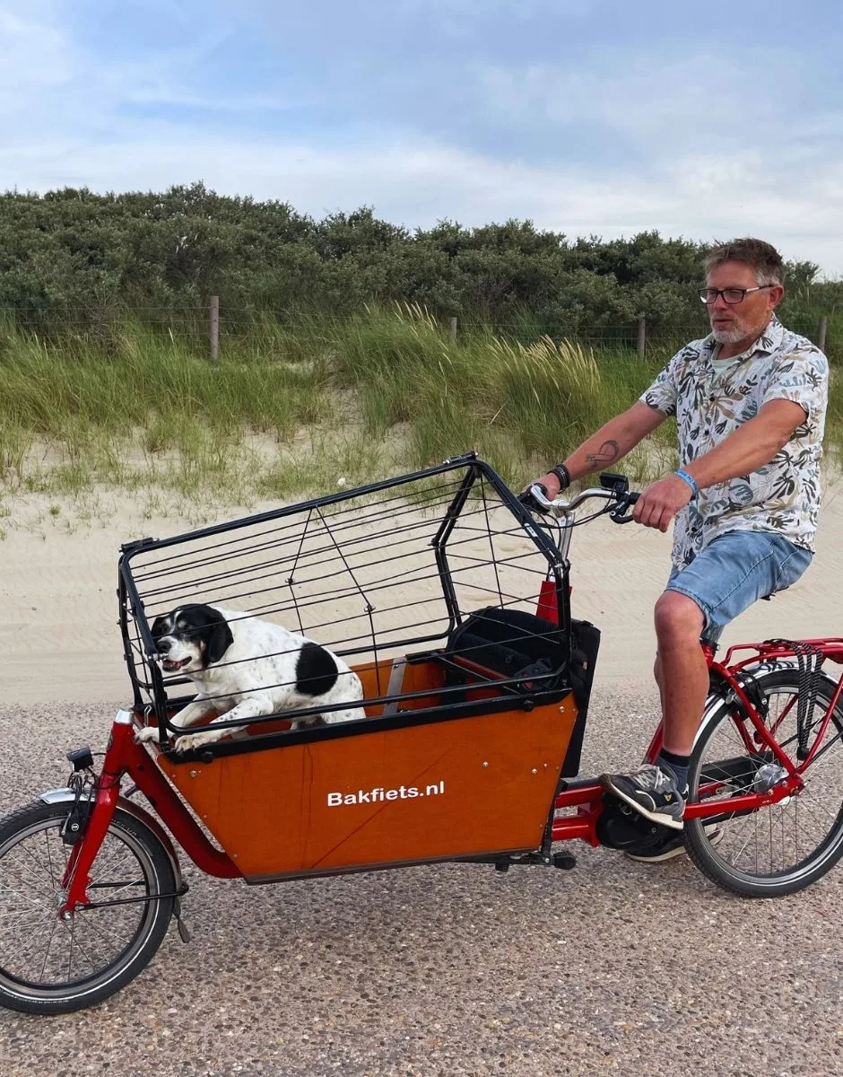 aurum rennrad AURUM Magma  EIC-BIKE